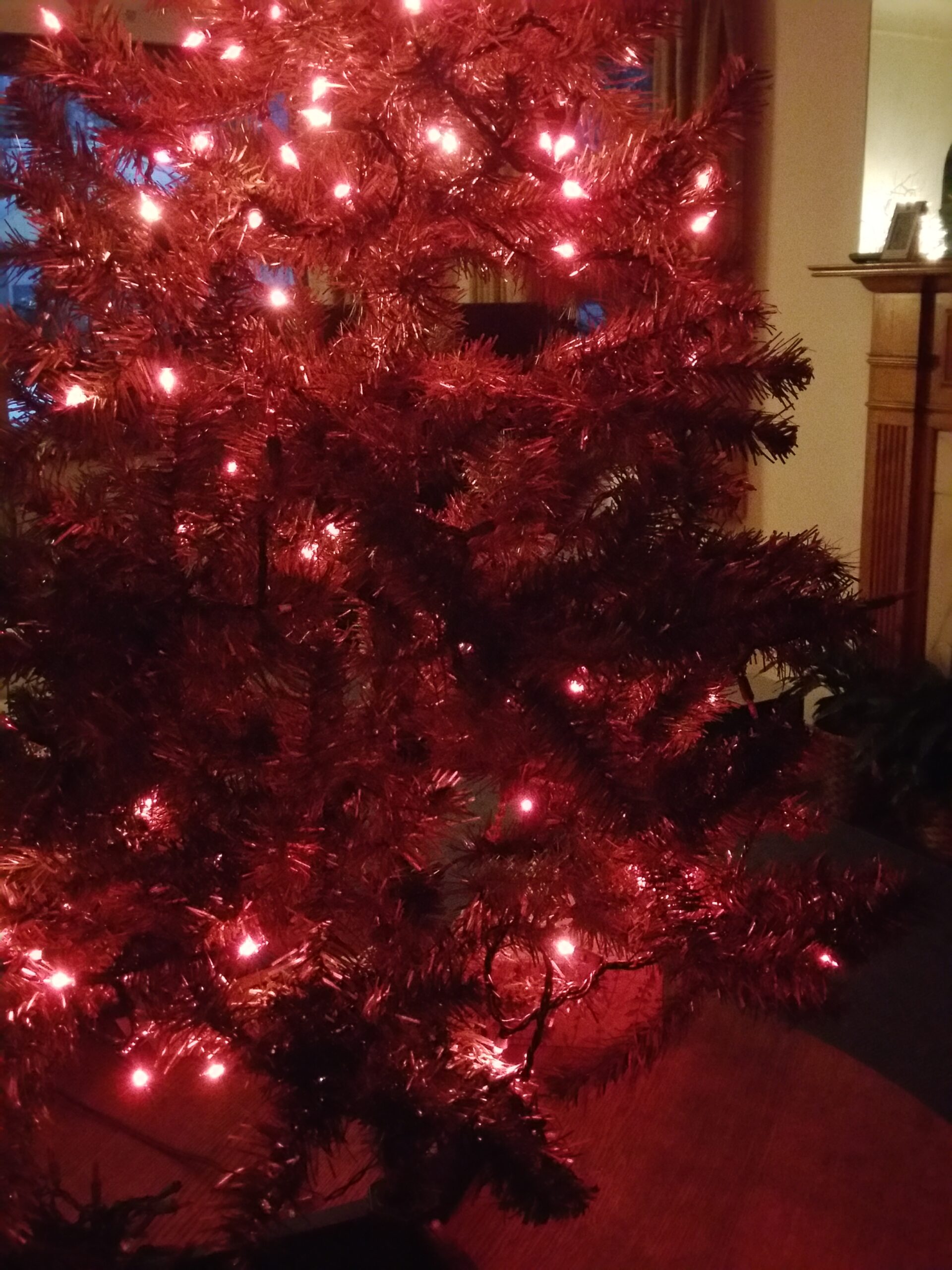half lit Christmas tree lights